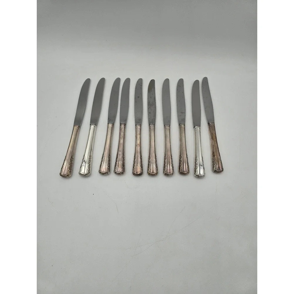 Holmes & Edwards May Queen Silverplate Dinner Knives Set of 10 Floral 9.25in
